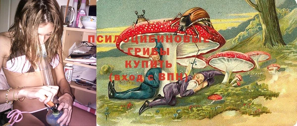 не бодяженный Надым