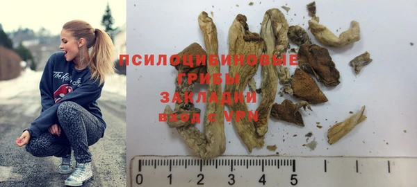 крисы Баксан