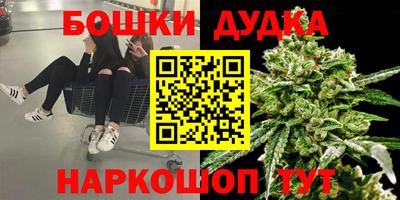 прущие крисы Донской