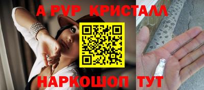 прущие крисы Донской