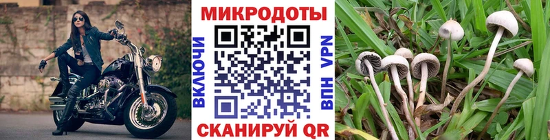 Галлюциногенные грибы мухоморы Изобильный