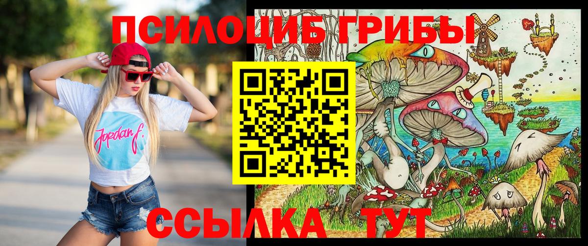 Галлюциногенные грибы мицелий Изобильный
