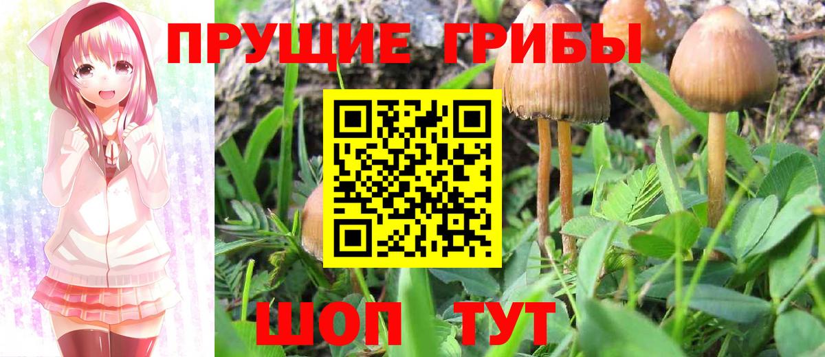 Псилоцибиновые грибы Psilocybine cubensis  Вход с VPN  продажа наркотиков  Изобильный 